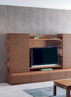 TV Ünitleri